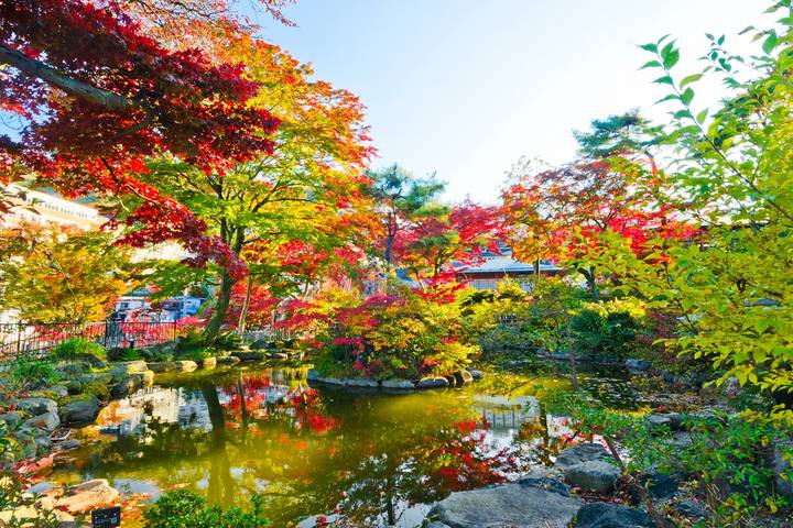 Wonders of Japan end Tokyo GO by Europamundo - 15-Day Tour Review - Tokyo’s temples, towers and busy crossings