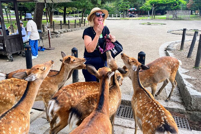World Heritage Kyoto & Nara Uji Authentic Matcha Experience - What makes this Nara and Uji day trip useful