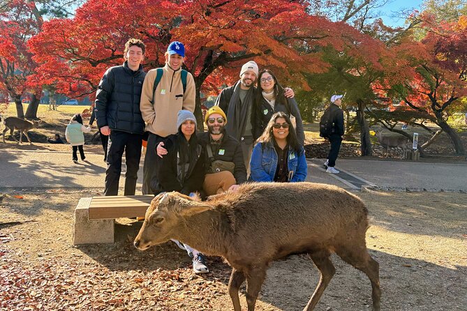 World Heritage Kyoto & Nara Uji Authentic Matcha Experience - Kasuga Grand Shrine and Nara’s sacred woodland