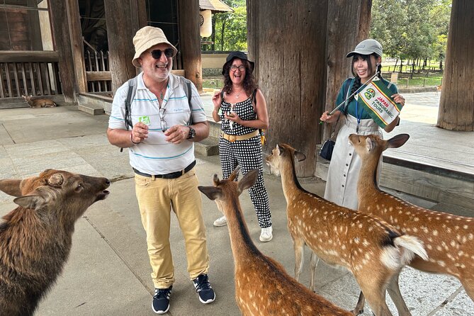 World Heritage Kyoto & Nara Uji Authentic Matcha Experience - Meeting Nara’s deer in the park