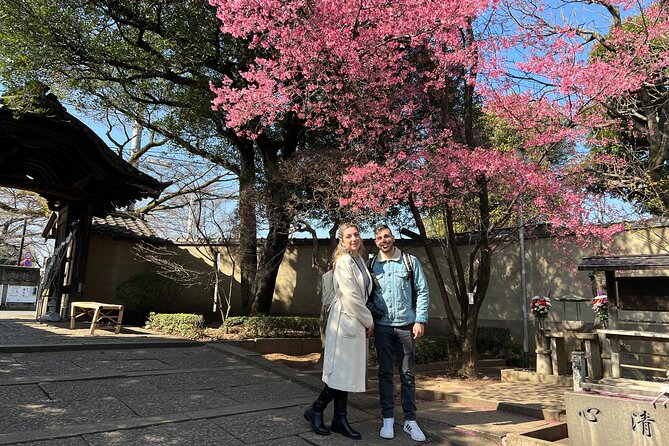 Yanaka Walking Tour: Historic and Traditional District of Tokyo - Yanaka Ginza, snacks, and the best finish